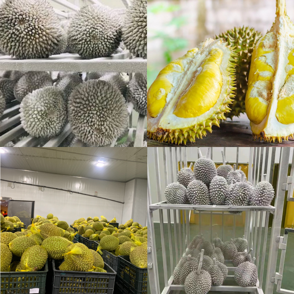 Công nghệ cấp đông nhanh bằng Nito lỏng - TGL CO.LTD